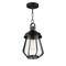 Maxim Lighting Mariner Medium Outdoor Pendant, Black/Antique Brass 30621CDBKAB - alternate 1